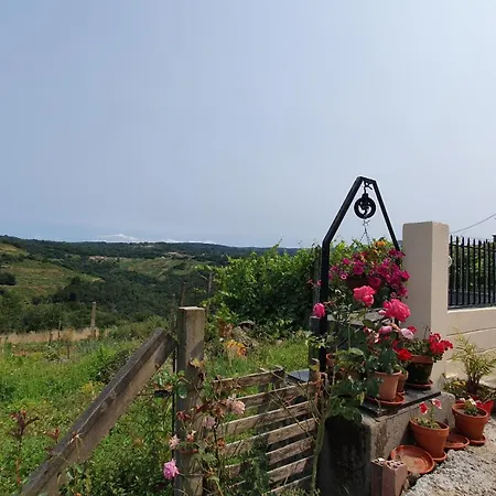 Casa San - Ribeira Sacra